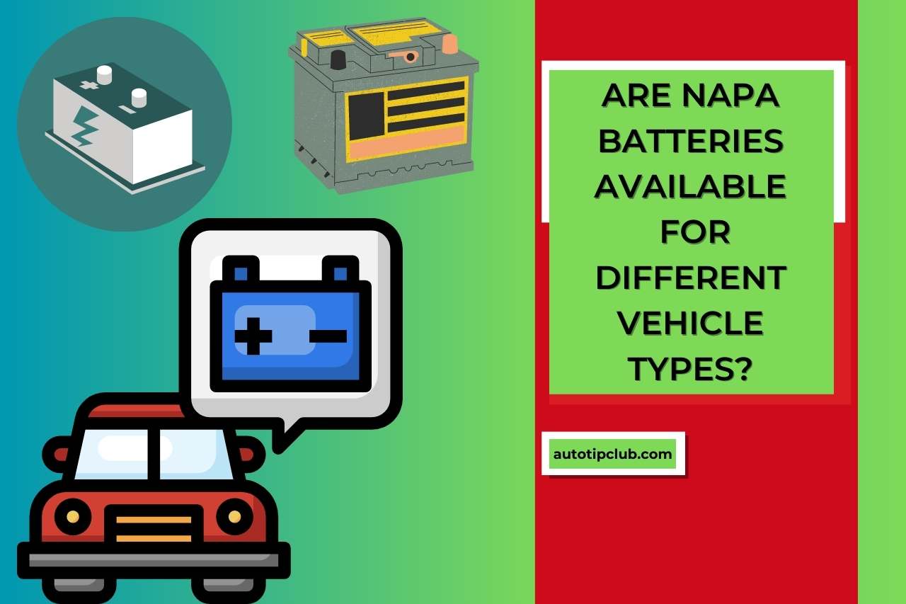 Are Napa Batteries Available for Different Vehicle Types